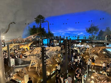 福井県立恐竜博物館に投稿された画像（2023/8/16）