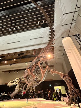 DinoScience 恐竜科学博 2023@TOKYO MIDTOWNに投稿された画像（2023/8/16）