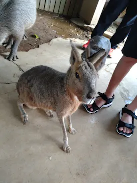 横浜・八景島シーパラダイスに投稿された画像（2023/8/16）