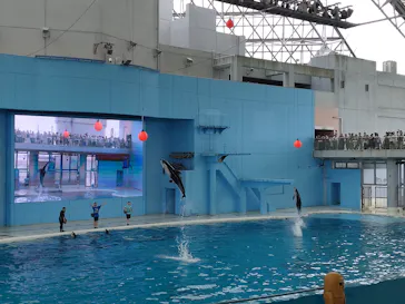 横浜・八景島シーパラダイスに投稿された画像（2023/8/17）