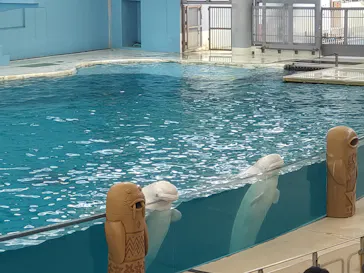 横浜・八景島シーパラダイスに投稿された画像（2023/8/17）