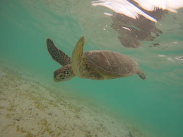 宮古島マリン SUGAR3（シュガースリー）に投稿された画像（2023/8/17）