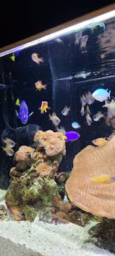 京都鉄道博物館×京都水族館に投稿された画像（2023/8/17）