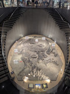 福井県立恐竜博物館に投稿された画像（2023/8/17）
