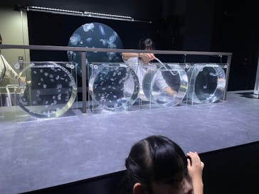 AOAO SAPPOROに投稿された画像（2023/8/17）