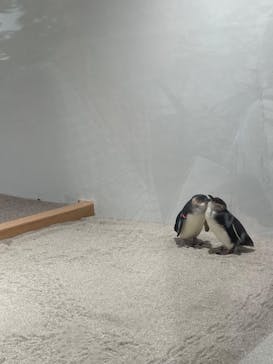 AOAO SAPPOROに投稿された画像（2023/8/17）