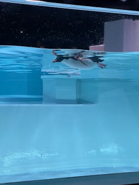 AOAO SAPPOROに投稿された画像（2023/8/17）