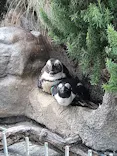 サンシャイン水族館に投稿された画像（2023/8/17）