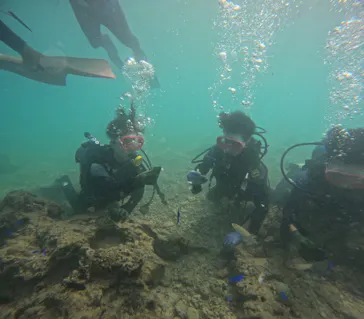武藤潜水に投稿された画像（2023/8/17）
