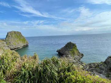 武藤潜水に投稿された画像（2023/8/17）