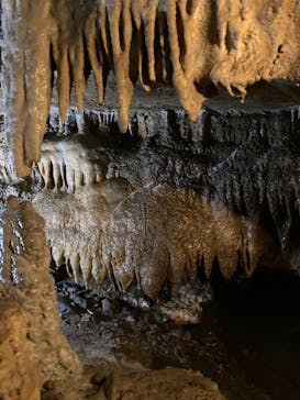 あぶくま洞に投稿された画像（2023/8/17）