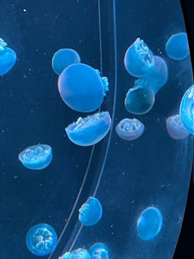 AOAO SAPPOROに投稿された画像（2023/8/17）