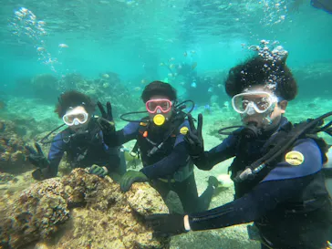 武藤潜水に投稿された画像（2023/8/17）