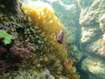 武藤潜水に投稿された画像（2023/8/17）