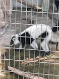 天王寺動物園に投稿された画像（2023/8/17）