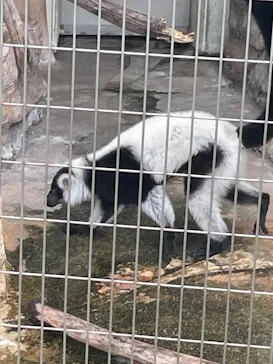 天王寺動物園に投稿された画像（2023/8/17）