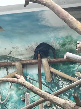 天王寺動物園に投稿された画像（2023/8/17）