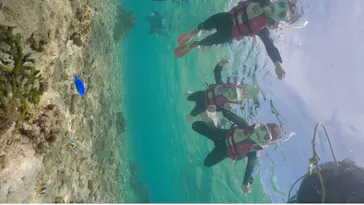 武藤潜水に投稿された画像（2023/8/17）