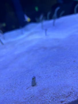 マリンワールド海の中道に投稿された画像（2023/8/17）