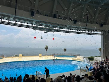 マリンワールド海の中道に投稿された画像（2023/8/17）