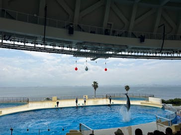 マリンワールド海の中道に投稿された画像（2023/8/17）
