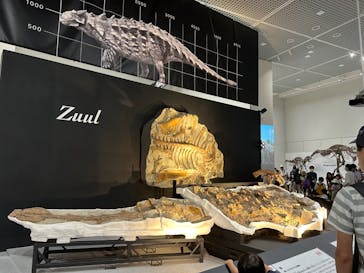 大阪市立自然史博物館に投稿された画像（2023/8/17）