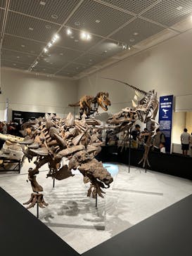 大阪市立自然史博物館に投稿された画像（2023/8/17）