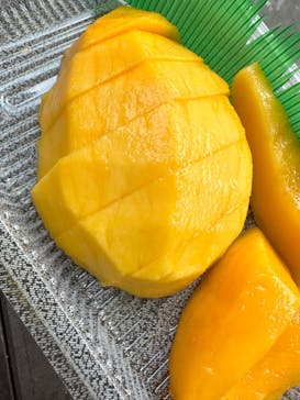 おきなわワールドに投稿された画像（2023/8/17）