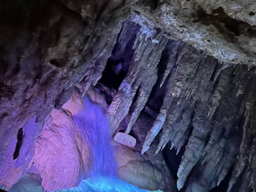 おきなわワールドに投稿された画像（2023/8/17）