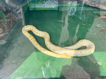 おきなわワールドに投稿された画像（2023/8/17）