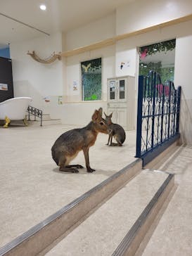 アニタッチアクアシティお台場に投稿された画像（2023/8/17）