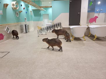 アニタッチアクアシティお台場に投稿された画像（2023/8/17）