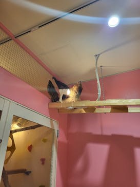 アニタッチアクアシティお台場に投稿された画像（2023/8/17）