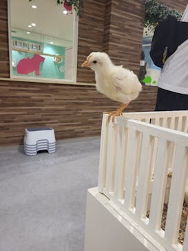 アニタッチアクアシティお台場に投稿された画像（2023/8/17）