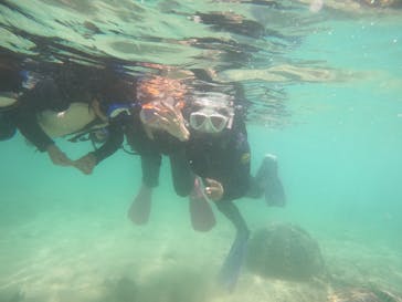 沖縄マリンサービス碧に投稿された画像（2023/8/17）