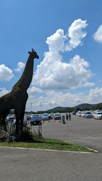 たんばらラベンダーパークに投稿された画像（2023/8/17）