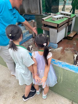 南知多ビーチランド＆南知多おもちゃ王国に投稿された画像（2023/8/17）