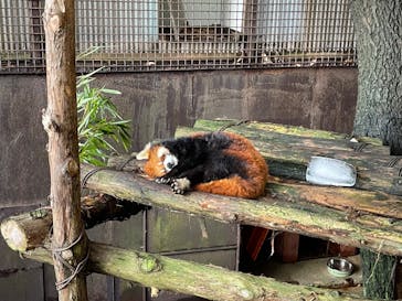 那須ワールドモンキーパークに投稿された画像（2023/8/17）