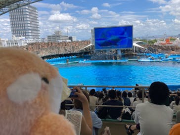 名古屋港水族館に投稿された画像（2023/8/17）