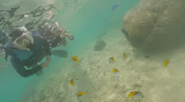 武藤潜水に投稿された画像（2023/8/17）