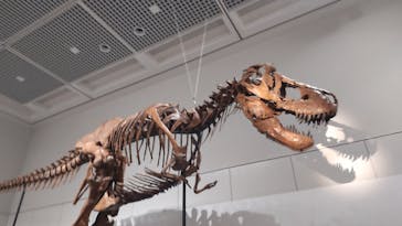 大阪市立自然史博物館に投稿された画像（2023/8/17）