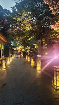 江の島シーキャンドルに投稿された画像（2023/8/17）