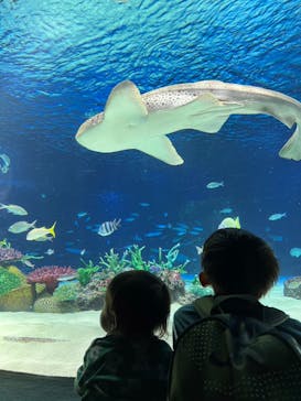 サンシャイン水族館に投稿された画像（2023/8/17）