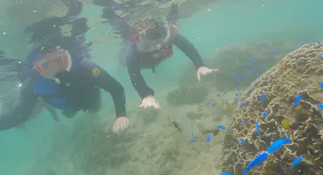 武藤潜水に投稿された画像（2023/8/17）