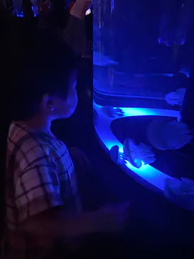 マクセル アクアパーク品川に投稿された画像（2023/8/17）