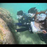 武藤潜水に投稿された画像（2023/8/17）