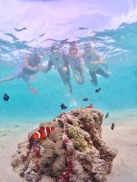 宮古島マリン GB QUESTに投稿された画像（2023/8/17）