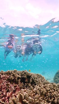 宮古島マリン GB QUESTに投稿された画像（2023/8/17）