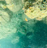 武藤潜水に投稿された画像（2023/8/17）