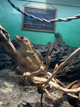 サンシャイン水族館に投稿された画像（2023/8/17）